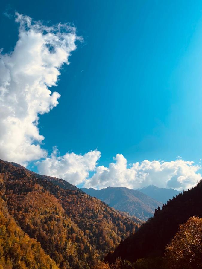 Seyr-I Cennet Dag Evleri Çamlıhemşin Exterior foto