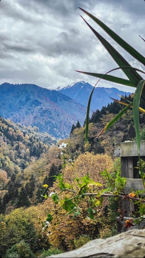 Seyr-I Cennet Dag Evleri Çamlıhemşin Exterior foto