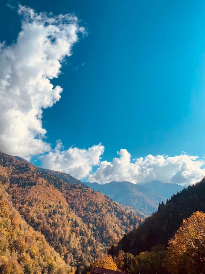 Seyr-I Cennet Dag Evleri Çamlıhemşin Exterior foto