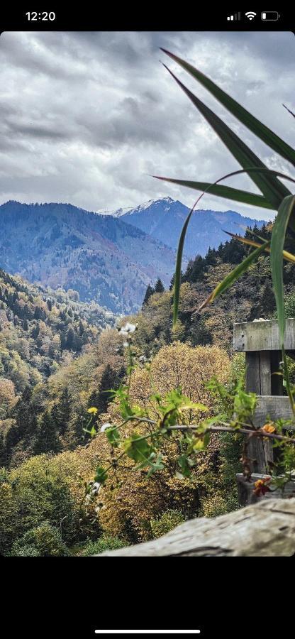 Seyr-I Cennet Dag Evleri Çamlıhemşin Exterior foto
