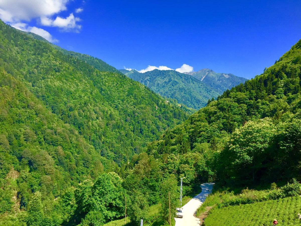 Seyr-I Cennet Dag Evleri Çamlıhemşin Exterior foto